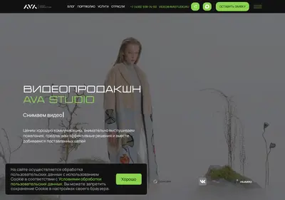 Снимок главной страницы avastudio.ru