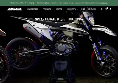 Снимок главной страницы bsgx.ru