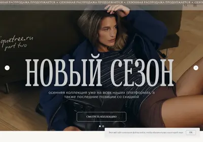 Снимок главной страницы boutiquetree.ru