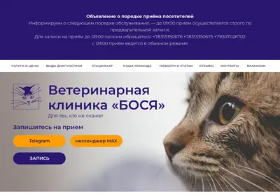 Снимок главной страницы bosya-vet.ru