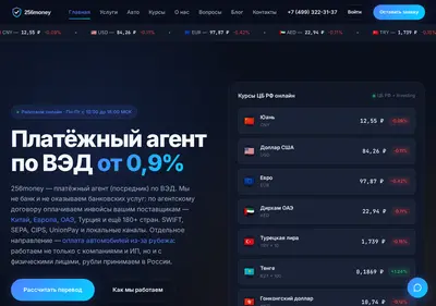 Снимок главной страницы 256money.ru