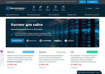 Снимок главной страницы brunomedia.ru