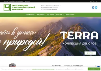 Снимок главной страницы cfmk.ru