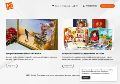 Снимок главной страницы book-omsk.ru