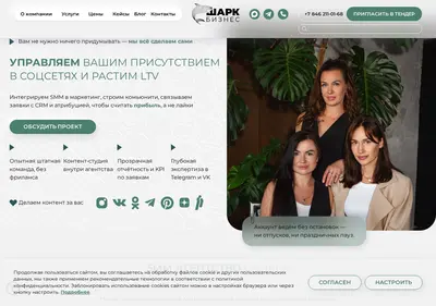 Снимок главной страницы business-shark.ru