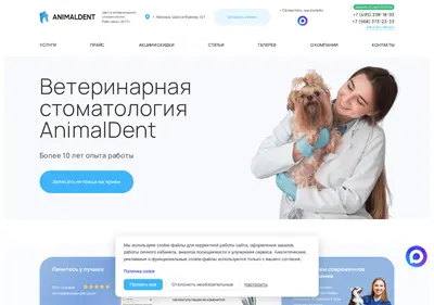 Снимок главной страницы animaldent.ru