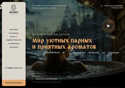 Снимок главной страницы bk-shishka.ru