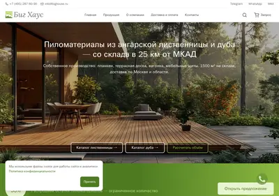 Снимок главной страницы bighouse.ru