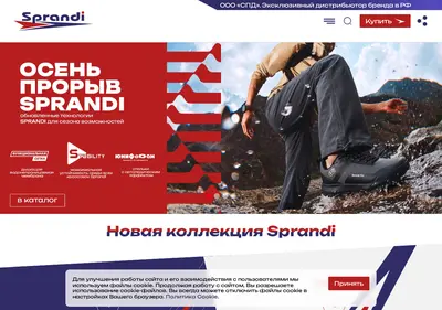 Снимок главной страницы sprandi.su