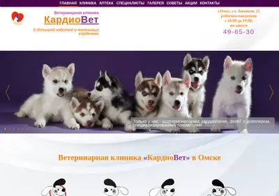 Снимок главной страницы cardio-vet.ru