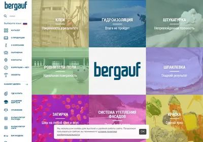 Снимок главной страницы bergauf.ru