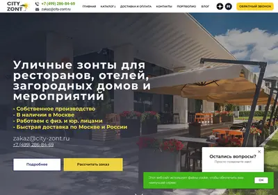Снимок главной страницы city-zont.ru