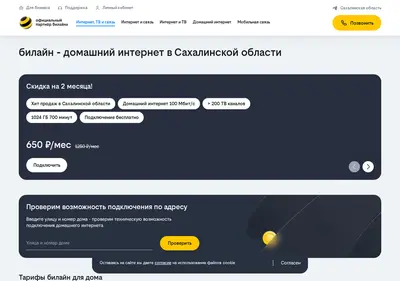 Снимок главной страницы beeline-promo.ru