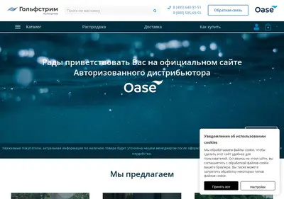 Снимок главной страницы oase.su