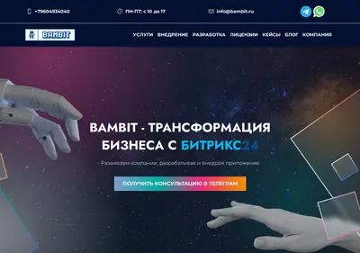 Снимок главной страницы bambit.ru