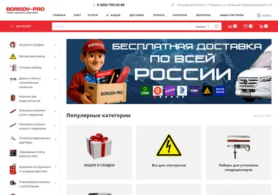 Снимок главной страницы borisov-pro.ru
