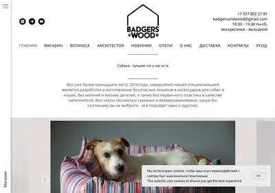 Снимок главной страницы badgerswood.ru