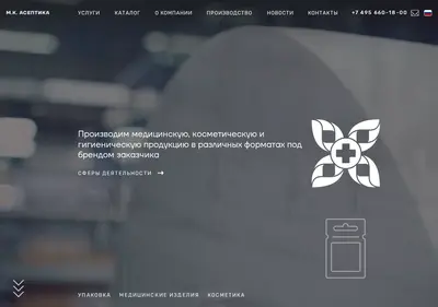 Снимок главной страницы aseptica.ru