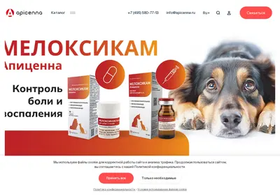 Снимок главной страницы apicenna.ru