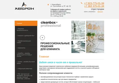 Снимок главной страницы averon54.ru