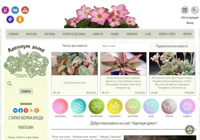 Снимок главной страницы adenium-doma.ru