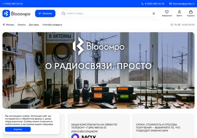 Снимок главной страницы blooompo.ru
