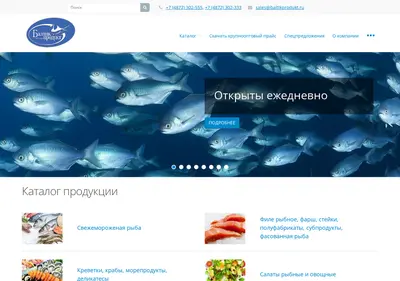 Снимок главной страницы baltikprodukt.ru