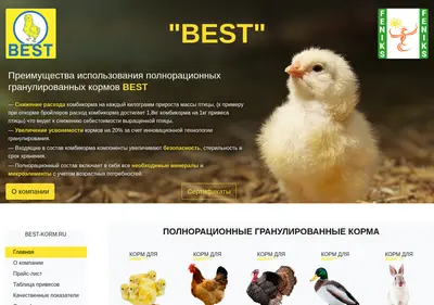 Снимок главной страницы best-korm.ru