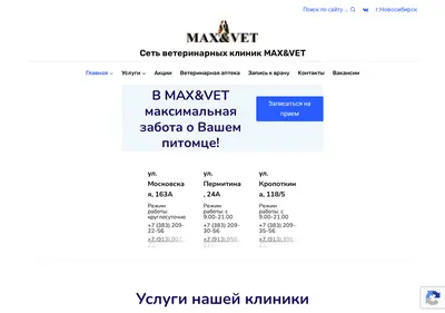 Снимок главной страницы maxivet.su