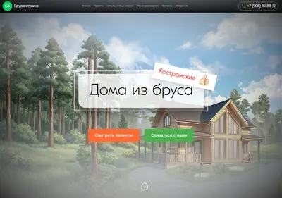 Снимок главной страницы bruskostroma.ru