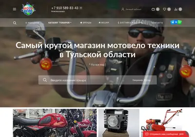 Снимок главной страницы benzo71.ru