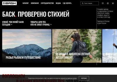Снимок главной страницы bask.ru