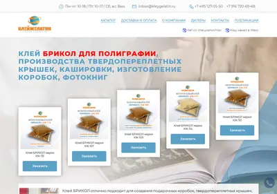 Снимок главной страницы brikol.ru