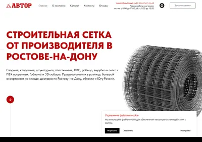 Снимок главной страницы avtorset.ru