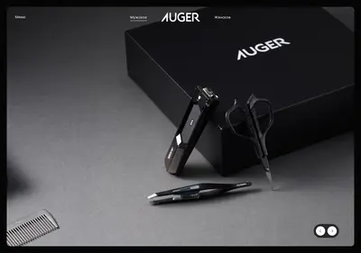 Снимок главной страницы augerblades.ru