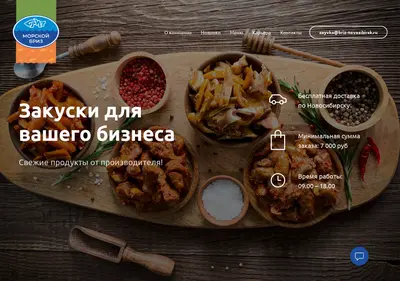 Снимок главной страницы briz-novosibirsk.ru