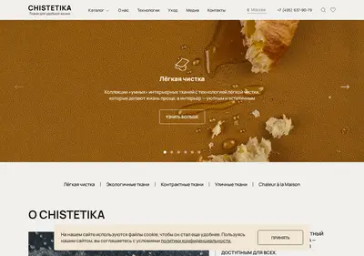 Снимок главной страницы chistetika.ru