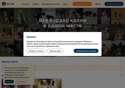 Снимок главной страницы bc-db.ru