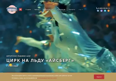 Снимок главной страницы circus-novosibirsk.ru