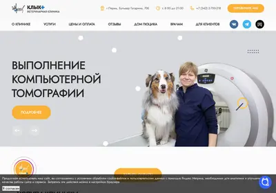 Снимок главной страницы bkperm.ru