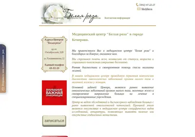 Снимок главной страницы br42.ru