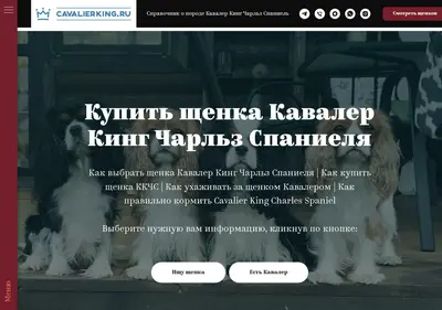 Снимок главной страницы cavalierking.ru