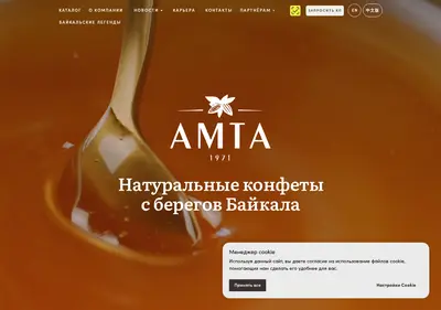 Снимок главной страницы amta.ru