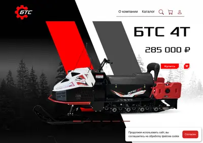 Снимок главной страницы bts76.ru