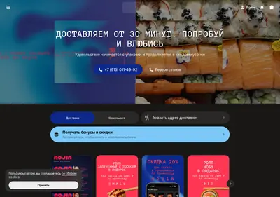 Снимок главной страницы aojin.ru