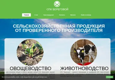Снимок главной страницы beregovoy42.ru