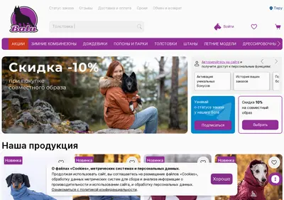 Снимок главной страницы balustore.ru