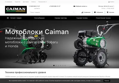 Снимок главной страницы caim-center.ru