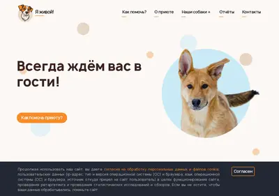 Снимок главной страницы imalive.su