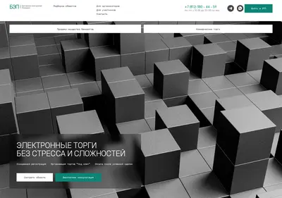 Снимок главной страницы bepspb.ru